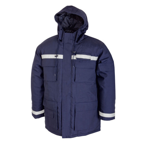 Scurta_protectie_riscuri_minime_iarna_Prag__Renania__art_2B73__9061-500x500